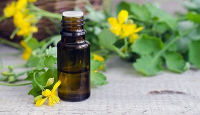 Celandine -sap voor de behandeling van nagelschimmel